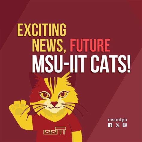 msu iit email address|About MSU.